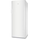 Indesit-Refrigerator-Free-standing-SIAA-10--UK--Global-white-Perspective