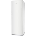 Indesit-Freezer-Free-standing-UIAA-12--UK-.1-Global-white-Perspective