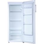 Indesit-Refrigerator-Free-standing-SIAA-55-UK-White-Frontal_Open